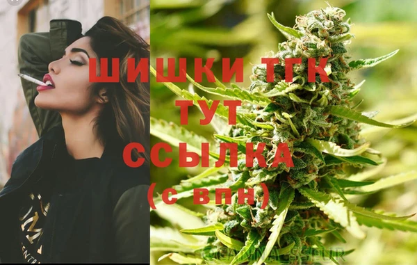 спиды Лиски