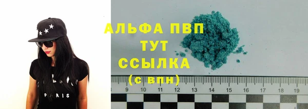 спиды Лиски